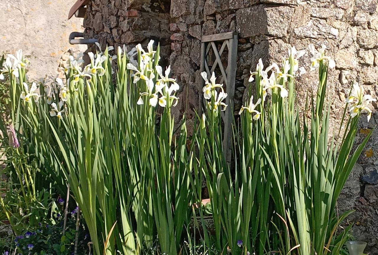 Charmant gîte à la campagne, proche du Puy du Fou, Les Charmes de Castellariis Pouzauges Extérieur photo